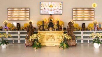 SIEU THOAT DUONG 2026 4 3 mag hinh img