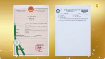 SIEU THOAT DUONG 2026 7 sang che img