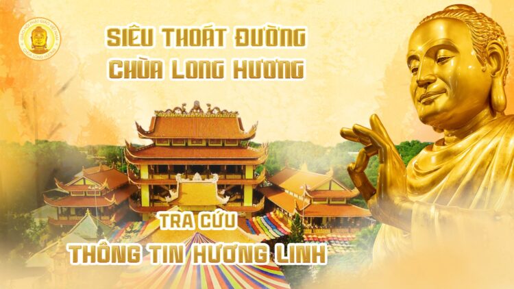 THIET-KE-HINH-DAI-DIEN-TRA-CUU-THONG-TIN-HUONG-LINH