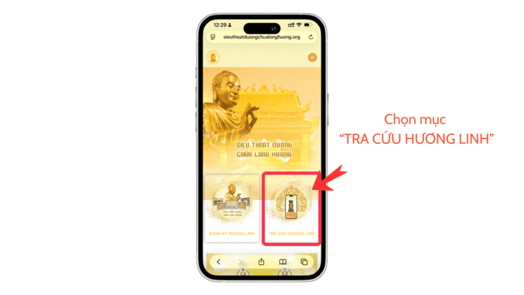 Thiết Kế tra cứu TT STD